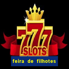 feira de filhotes porto alegre